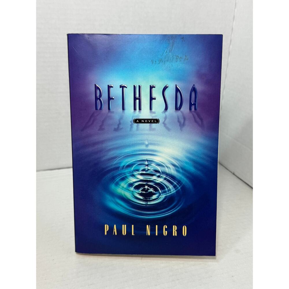 Bethesda a Novel by Paul Nigro